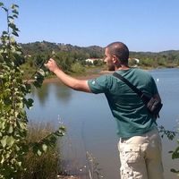 Fotos de Osameh Atiya