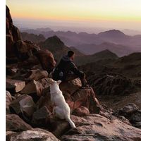 Kareem Hewidy's Photo