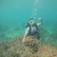 Фотографии пользователя Ali Mustafa