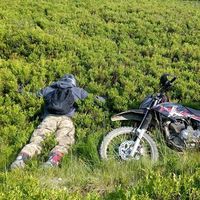 Roman Popov的照片