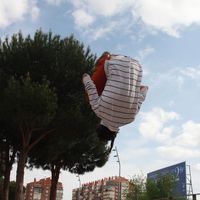 Fotos de David Avile