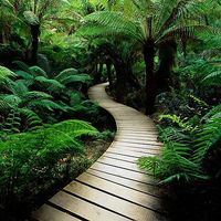 Elsa HOUNDETE的照片