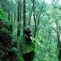 Carlos GA AG's Photo