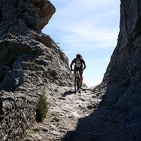 Michael Eichinger's Photo