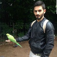 ALESSANDRO LONGO's Photo