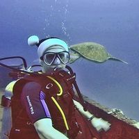 Photos de Grant Morgan