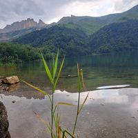 Фотографии пользователя Fidan Eyvazzade