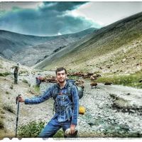 Hooman Mahdavi's Photo