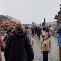 Mihaela Korman的照片