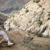 Photos de Aymad Sultan