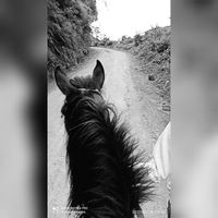 Andrea Salvador's Photo