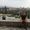 Davide Zinesi's Photo