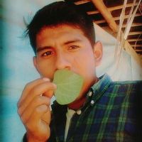 Photos de Daxs Coayla