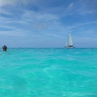 Ryan Shields的照片