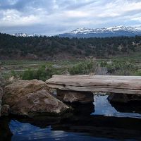 Michelle Wesley的照片