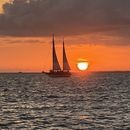 Hobie Cat Sailing In Cancún 's picture