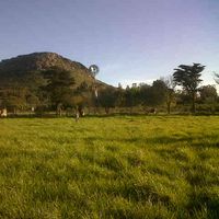 Florencia Rey's Photo