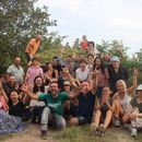 Grape Harvest in Kakheti 's picture