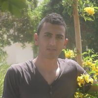 Mahamed salah的照片