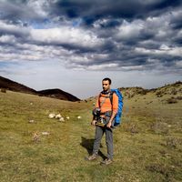 mohamad moheimani's Photo