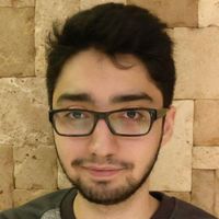 Le foto di Behzad Hamzehzadeh