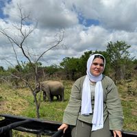 Nehal Al Wakeel's Photo