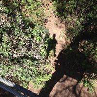 Mathieu Julien's Photo