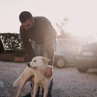 Photos de Anto Chatzi