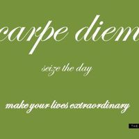 Фотографии пользователя Tracy Galloway