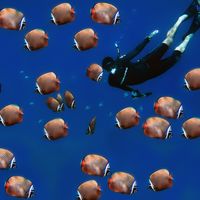 Ahmed Ammadey's Photo