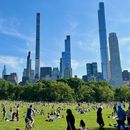 Wine and Lounge in Sheep Meadow 's picture