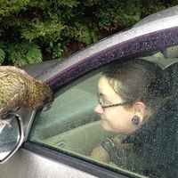 Kate Webster的照片