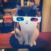 Дмитрий Рубцов's Photo