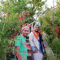 Fatemeh Bitaghsir's Photo