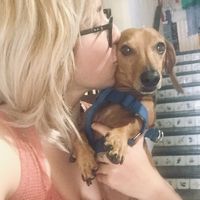 Zdjęcia użytkownika Axa Aurora