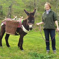 Victoria Iles的照片