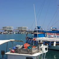 Harem Faraedun's Photo