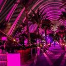 New Year Celebration Party 的照片