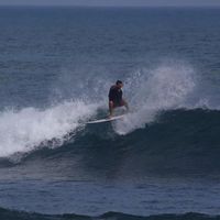 Ryan Darlington's Photo