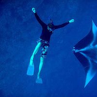 Allison Thompson's Photo