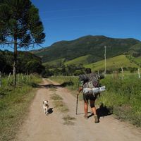 Dani Meneses的照片