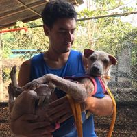 Agustin Baez's Photo