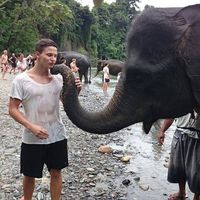 Robert Brajkovic的照片