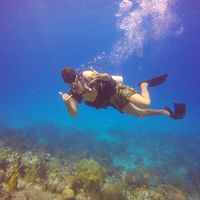 Wilian Soares的照片