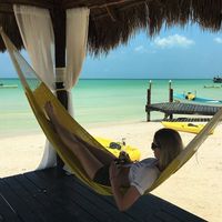 Monika Salamonik的照片