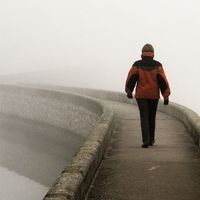 Mehdi Mokrane的照片