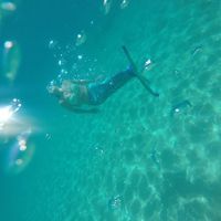 Danetta Sinkule的照片