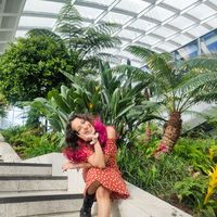 Photos de Dimple Champanerium