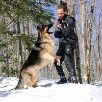 Mohannad Husaini's Photo