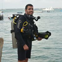 Mahmoud Bassiony的照片